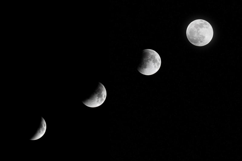 Moonlit Veil